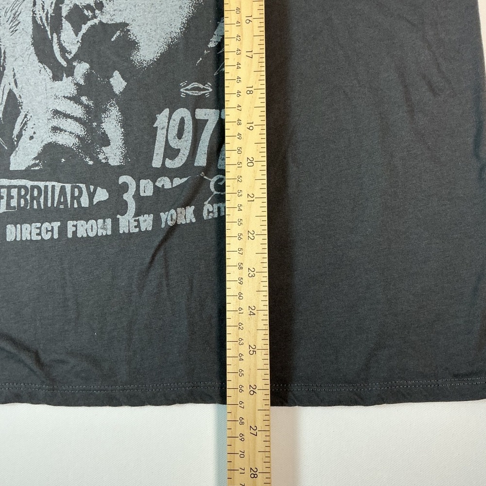 Vinyl Icons Blonie 1977 Concert V-Neck Tee Gray Size O (Medium/Large) - Picture 6 of 6